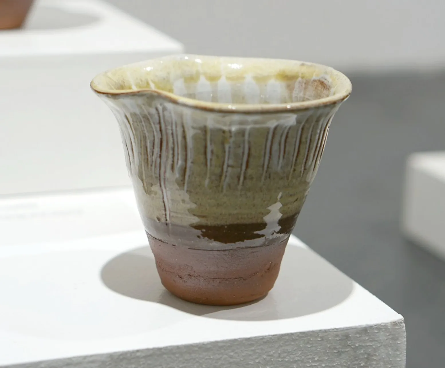 Fungi Vessel III on display.