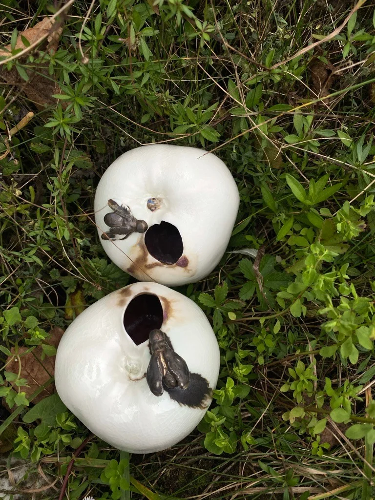 Two white porcelain apples with openings and small insects resting on green moss.